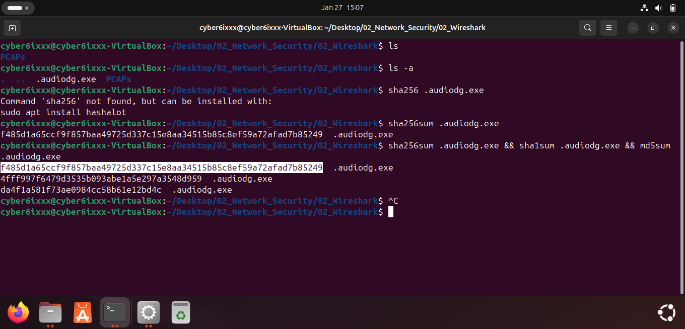 SHA256 Hash Output